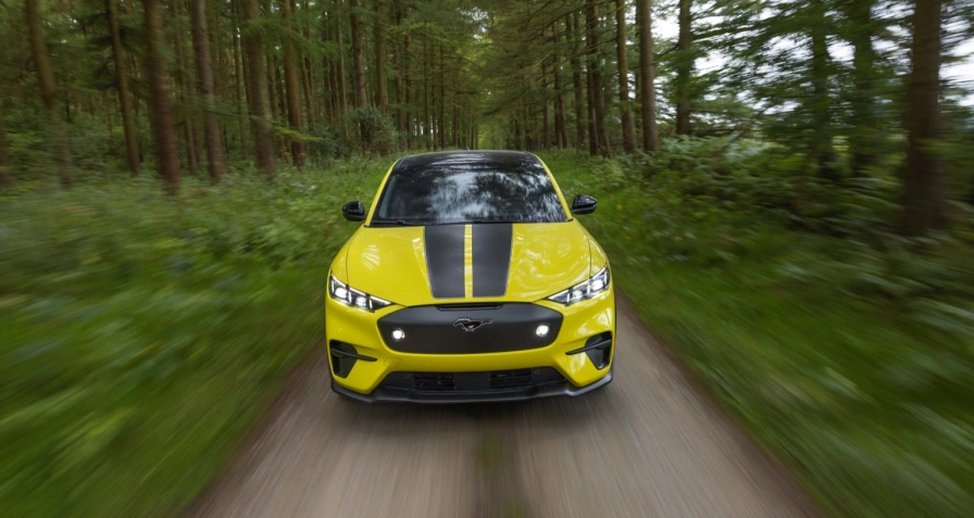 Ford Mustang Mach-E Rally (MY24)