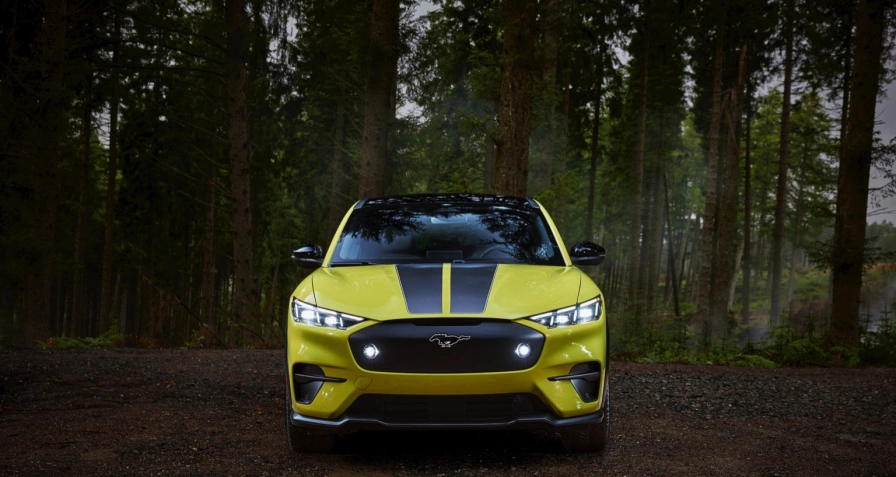 Ford Mustang Mach-E Rally (MY24)