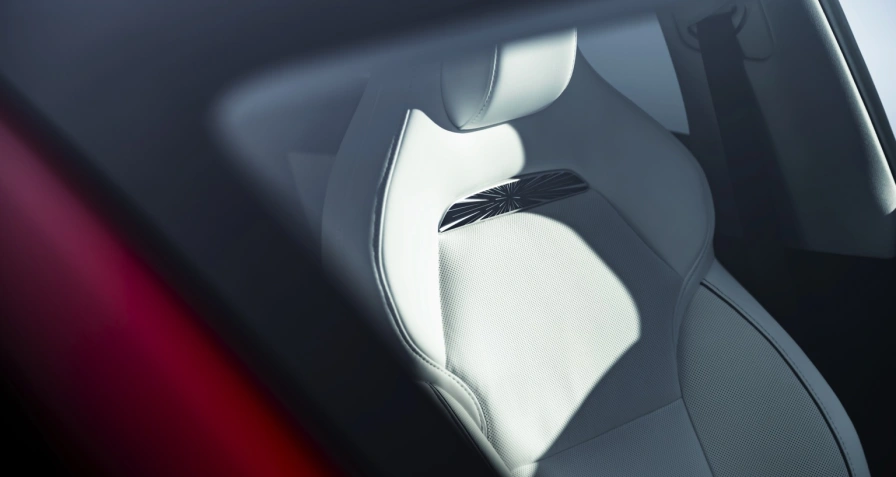 Tesla Model Y Performance (Juniper)