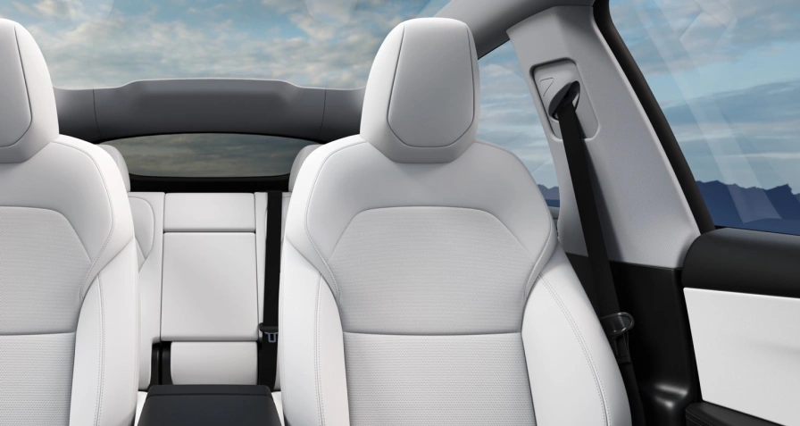 Tesla Model Y Premium RWD (Juniper - LG 5M)