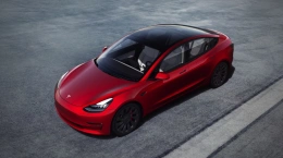Tesla Model 3 Standard Range Plus (PANA 2170L)