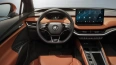 Skoda Enyaq iV 80x