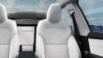 Tesla Model Y Long Range RWD (Juniper)