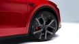 Tesla Model Y Performance (Juniper)