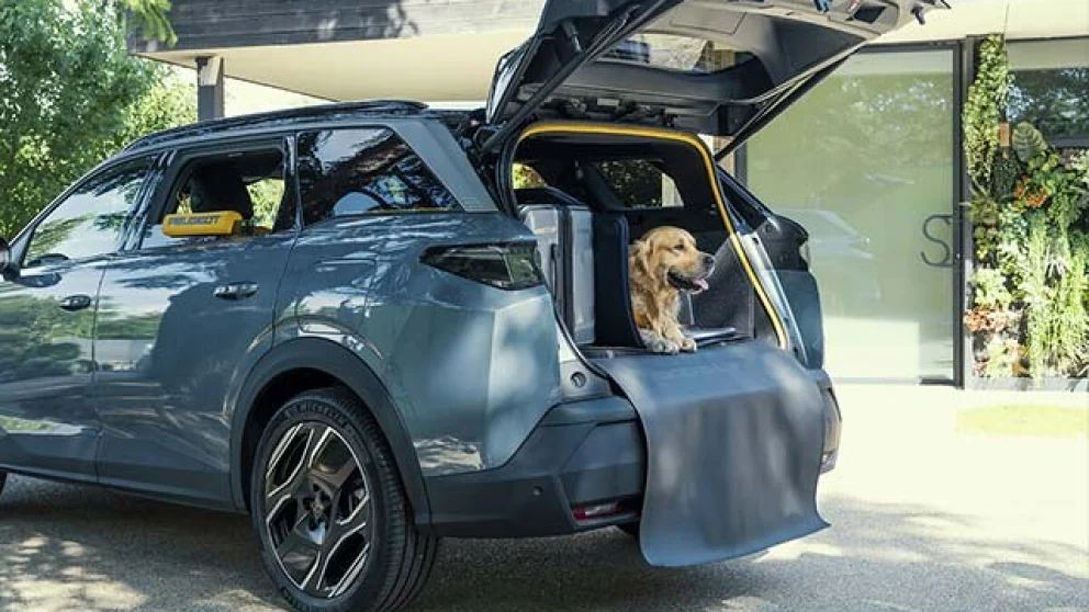 Peugeot laget en elbil for hunden din – og disse modellene har allerede hundemodus