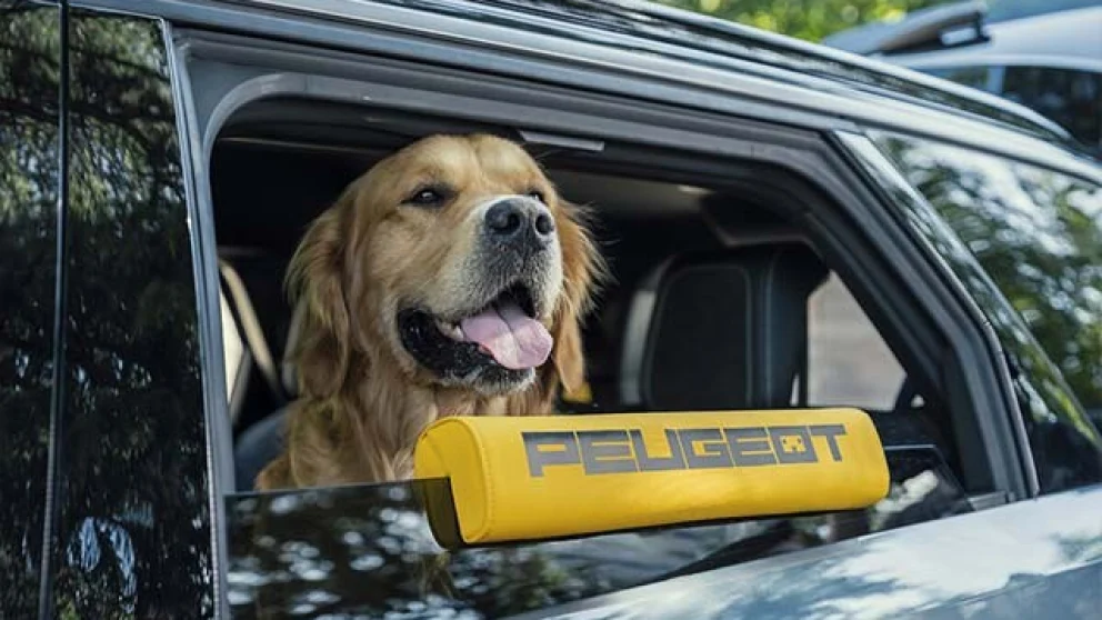 Peugeot laget en elbil for hunden din – og disse modellene har allerede hundemodus