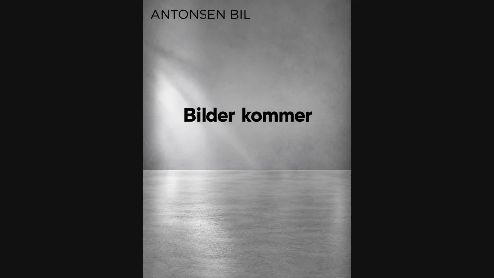 Nåværende bilde