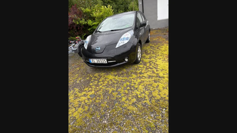 Nåværende bilde