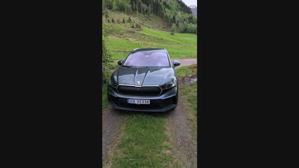 Nåværende bilde