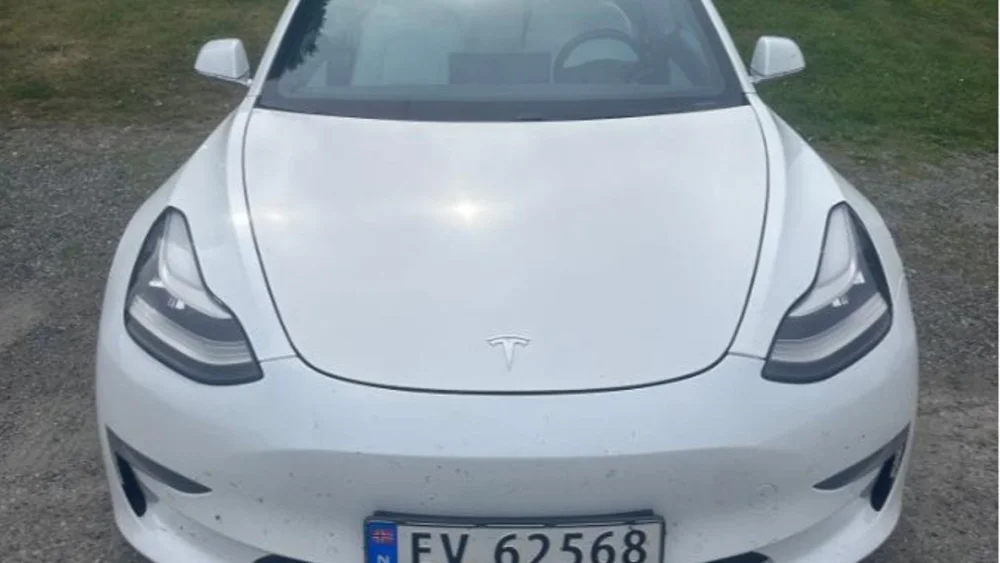 Nåværende bilde