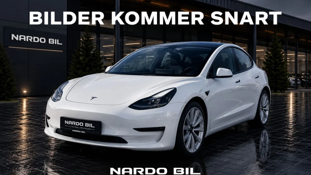 Nåværende bilde