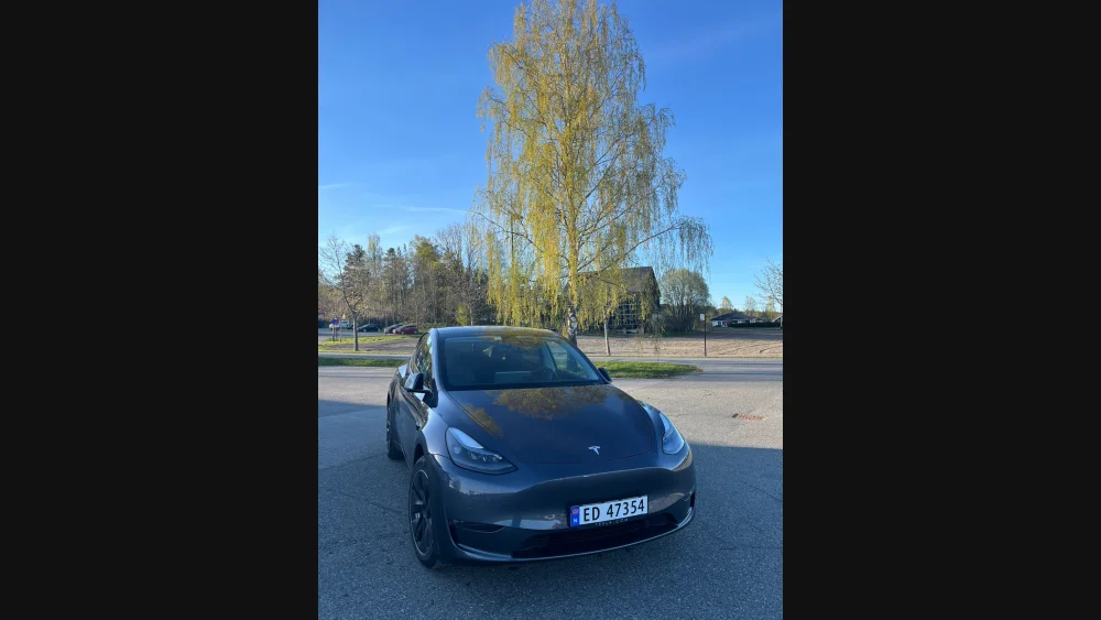 Nåværende bilde