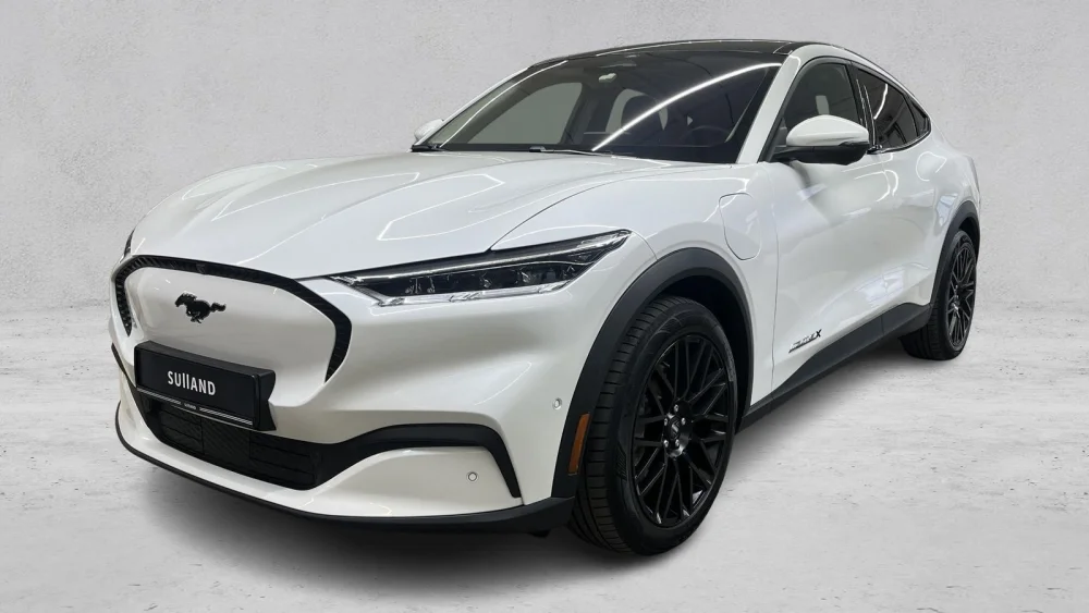 Nåværende bilde