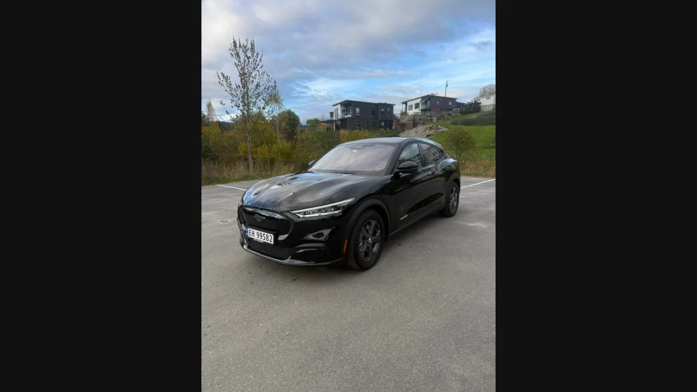 Nåværende bilde
