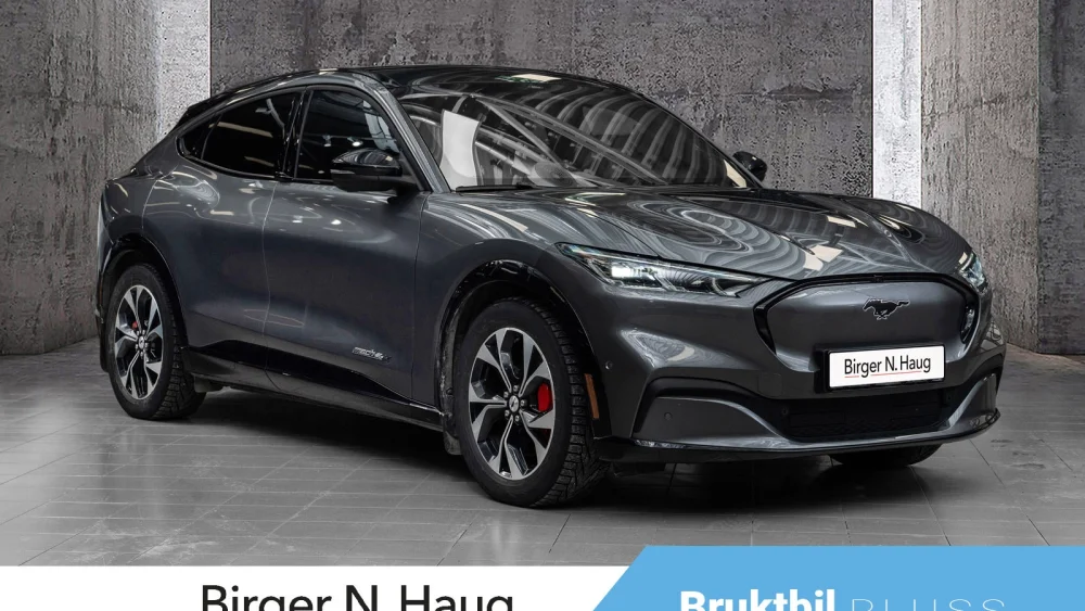Nåværende bilde
