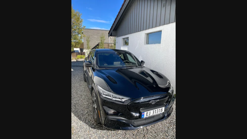 Nåværende bilde