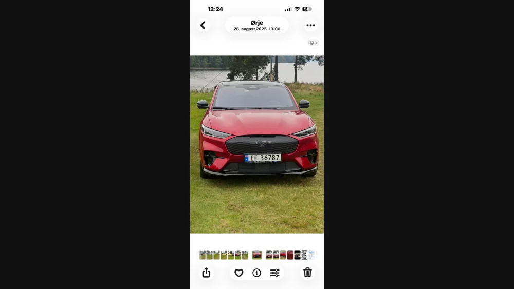 Nåværende bilde