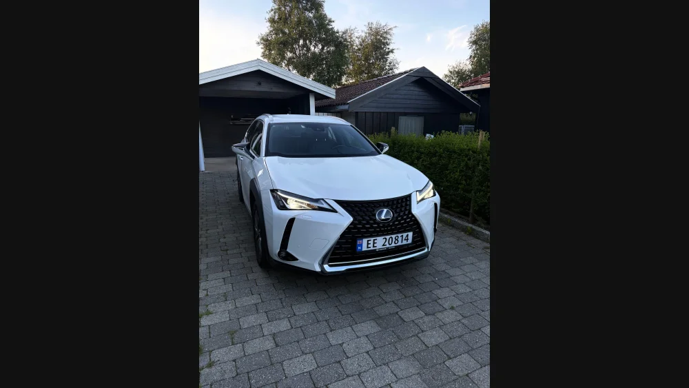 Nåværende bilde