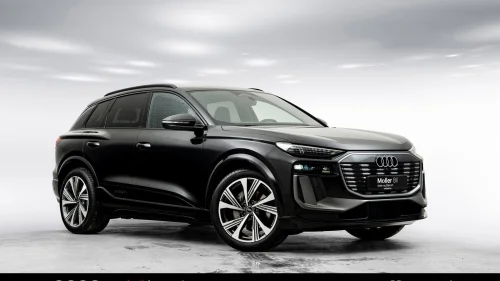 AUDI Q6 SUV e-tron quattro quattro Tech Pro S Line-Head up-B&O-Matrix-21"-H.feste