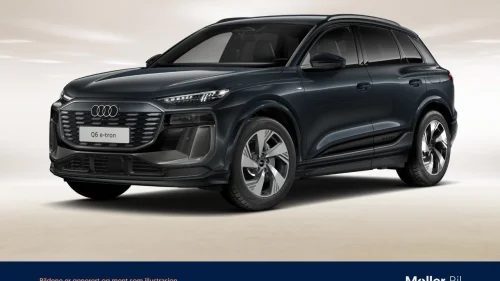 AUDI Q6 SUV e-tron quattro quattro tech pro, Luft, Krok, 360', 20'', Navi, ACC+++