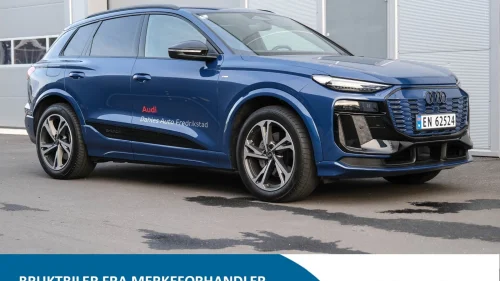 AUDI Q6 SUV e-tron quattro quattro Tech Pro - HeadUp/B&O/2xS-line/H.feste  +++