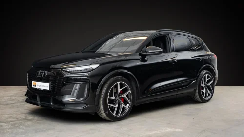 AUDI Q6 SUV e-tron quattro SUV S-Line H-feste AdaptivCruise Keyless LED-Matrix