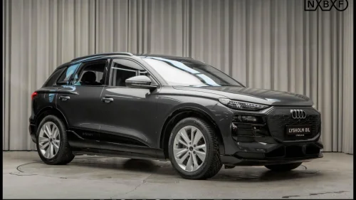 AUDI Q6 SUV e-tron quattro Q/Krok/Matrix/Pass.display/TechPro/Luft/Ad.cruise/360 +
