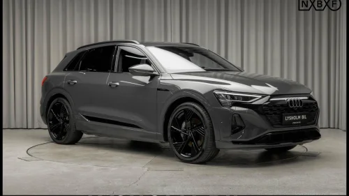 AUDI Q8 50 E TRON Black Edition/S-Line/Krok/22"/Luft/ACC/LED/R.kam ++