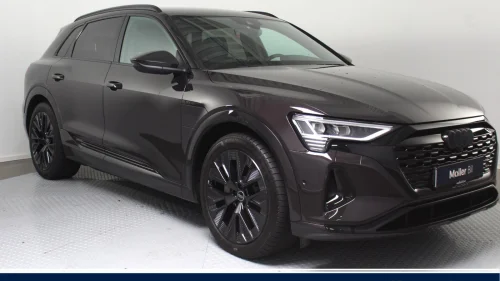 AUDI Q8 55 e-tron 55 Advanced Limited Plus-21",360Kam,S Line,Luft,Matrix