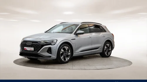 AUDI Q8 55 e-tron 55 adv ltd plus *B&O/LED Matrix/Krok/360kamera*