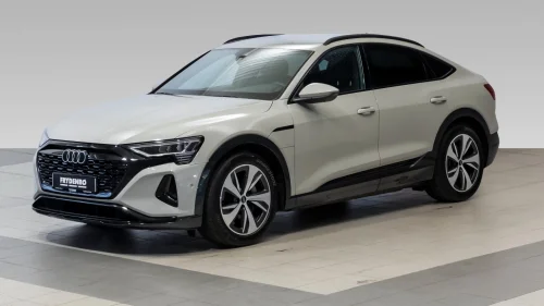 AUDI Q8 SPORTBACK 55 E TRON Sportback 55 Advanced Plus H.FESTE|20"|MATRIX|HUD|360+