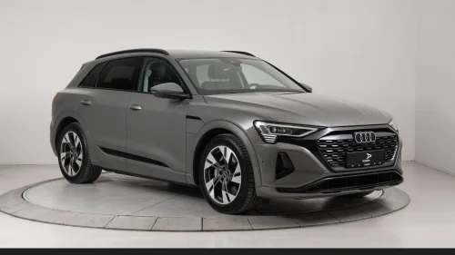 AUDI Q8 55 E TRON 55 e-tron Advanced plus | Krok/Matrix/360/B&O/HeadUp