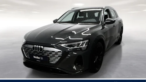 AUDI Q8 50 E TRON 50 Advanced - Sp.Seter, Luft, R.Kam, Krok, 20"