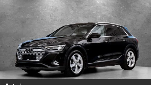 AUDI Q8 55 e-tron 55 adv ltd plus, Matrix, 360kam, Krok, Luft+++