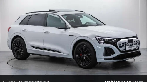 AUDI Q8 55 e-tron 55 e-tron S Line Competition/Head Up/Matrix/Pano/360Kam
