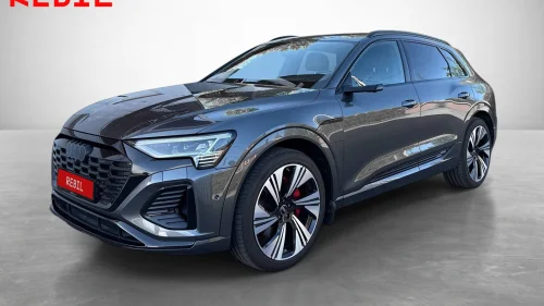 AUDI Q8 55 E TRON 55/S-Line plus/HUD/Matrix/360/Pano/Memory/Luft/ACC/Krok