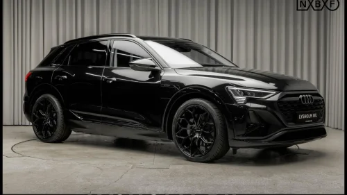 AUDI Q8 55 e-tron 55 SUV "ALL BLACK"/B&O/Krok/Pano/Matrix/360/Klima plus+