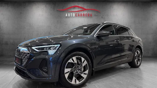 AUDI Q8 50 E TRON 50 S-Line/S.Seter/Navi/ACC/360 Kamera/Krok++