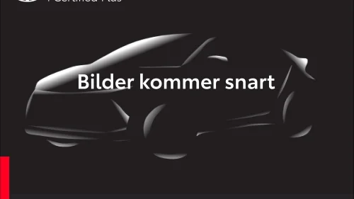 MG ZS EV Luxury Glasstak, TOPP MODELL