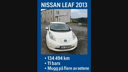 NISSAN LEAF