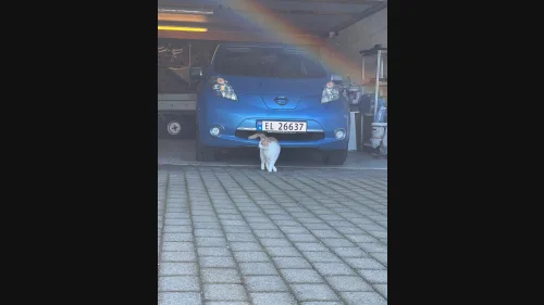 NISSAN LEAF Tekna