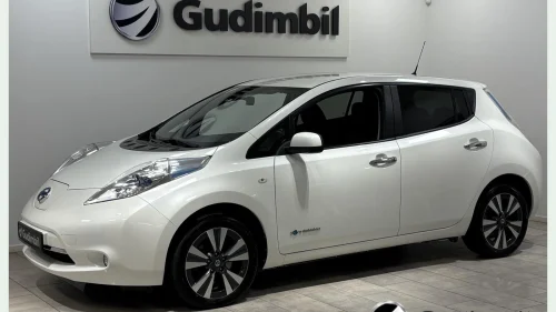 NISSAN Leaf 30kWh 30kW/6,6 LADER/SKINN/CRUISE/DAB/BOSE/NAVI/KAMERA//NY EU