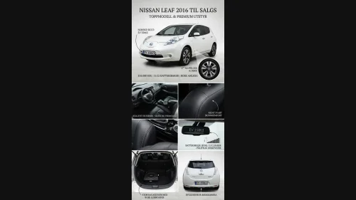 NISSAN Leaf 24kWh Tekna 24kWh (K)