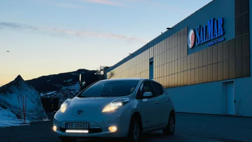 NISSAN LEAF 30kWh Nordic 30kWh