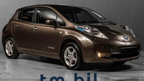 NISSAN LEAF 30kWh 30kWh Navi R-cam DAB K.less 1 eier