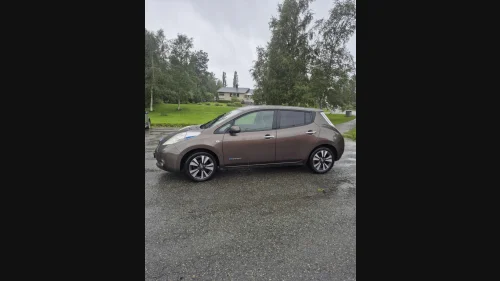 NISSAN LEAF 30kWh Tekna 30kWh (K)