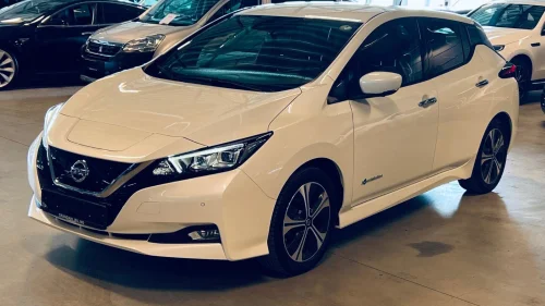 NISSAN Leaf 40kWh 40 Kwh - TEKNA - 360 grader k. - Varmepumpe - Tar innby