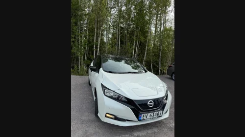 NISSAN Leaf 40kWh 40kWh/Delskinn/ACC/Navi/360/Bose/P.Sensor++