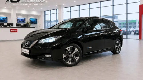 NISSAN Leaf 40kWh 40kWh/Bose/360-Kamera/del-skinn/Dab+
