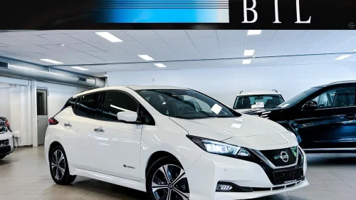 NISSAN Leaf 40kWh 40kWh TEKNA SKINN KLIMA NAVI ACC PDC 360-KAMERA DAB